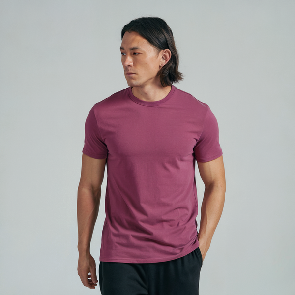 Maroon Regular Fit T-shirt ParadiseZone